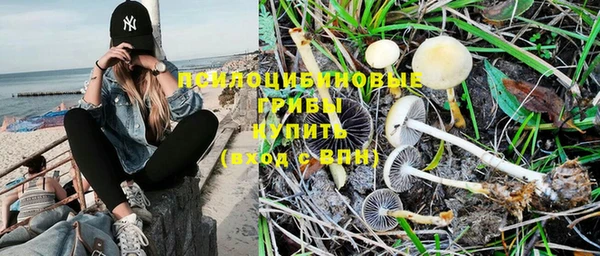 соль курить ск Кукмор