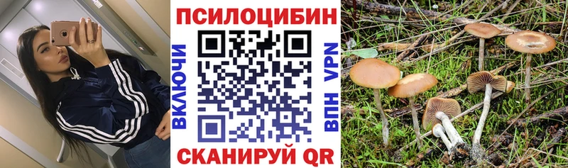 Псилоцибиновые грибы MAGIC MUSHROOMS  магазин продажи наркотиков  Тутаев 