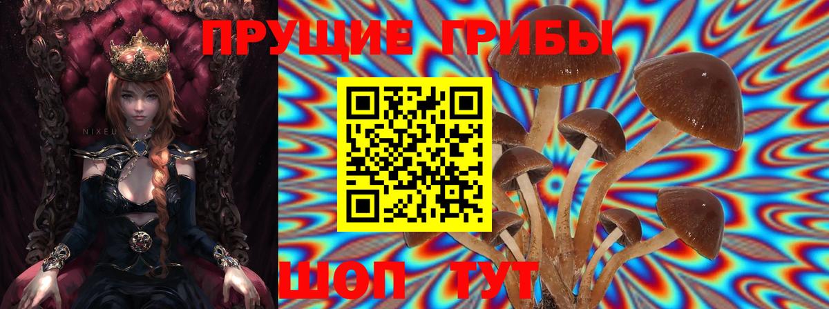 Псилоцибиновые грибы мухоморы Тутаев