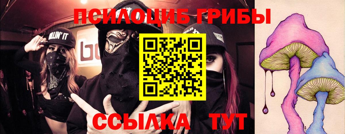 Псилоцибиновые грибы ЛСД  как найти закладки  Тутаев 